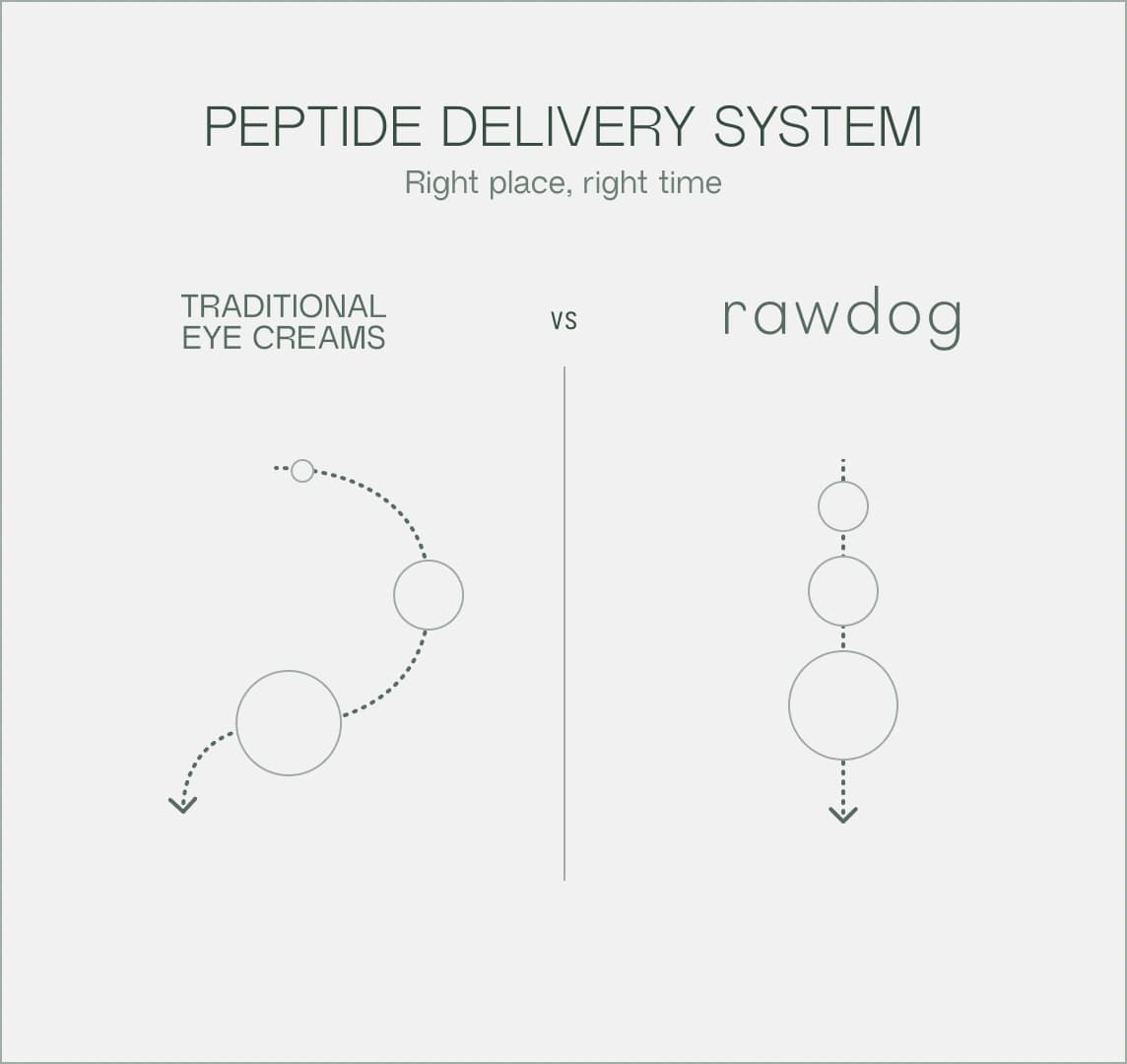 RAWDOG peptide delivery system diagram - comparison of traditional eye creams vs advanced peptide technology